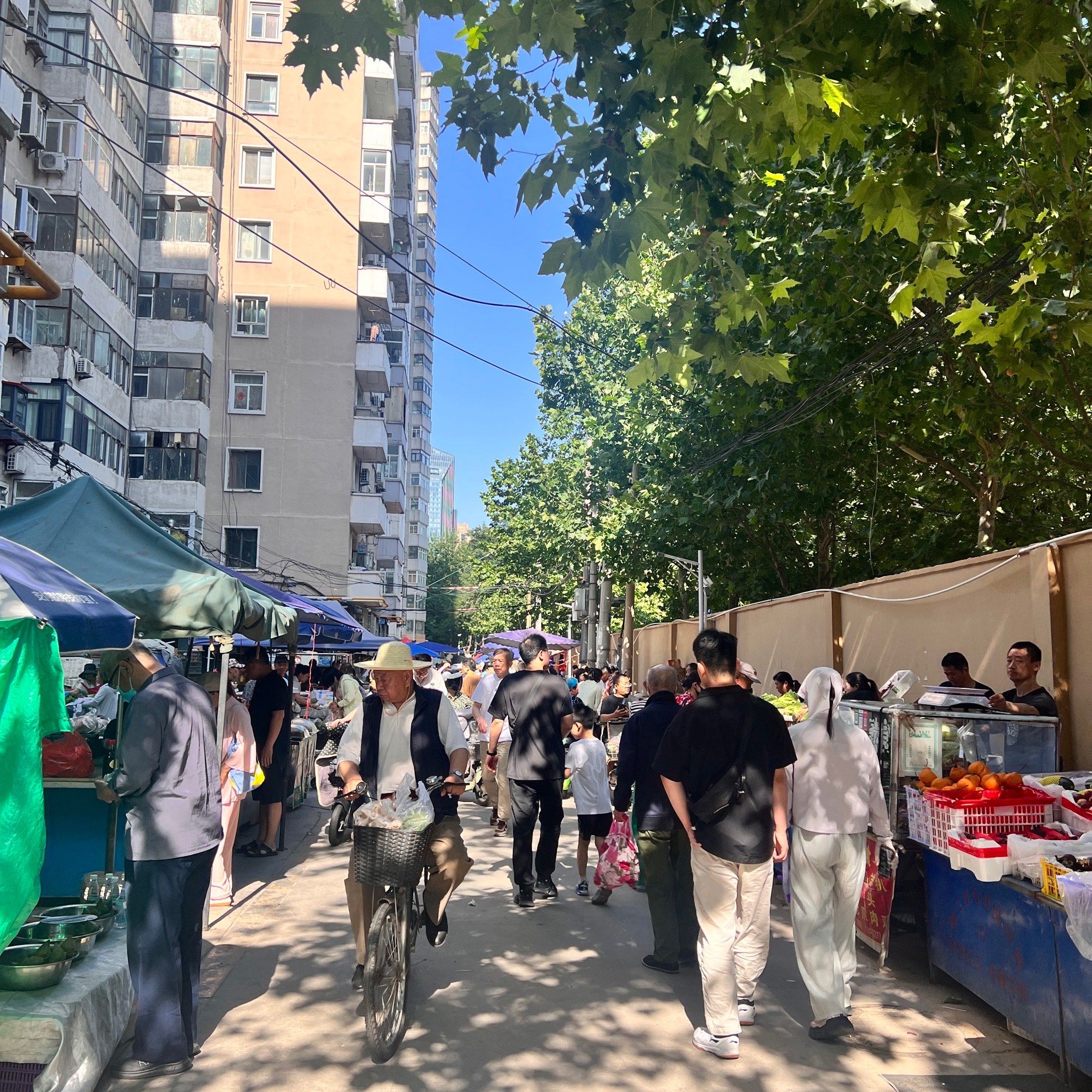 石家庄|棉二早市