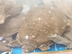 -新丁香海鲜酒店(银海商贸城店)