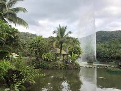 -呀诺达热带雨林