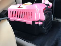-美联众合动物医院·24h转诊中心