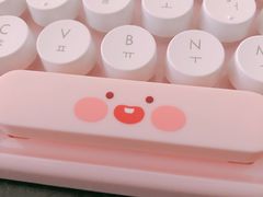 -KAKAO FRIENDS(弘大店)