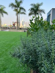 点击看大图 -金茂深圳JW万豪酒店·宴会厅