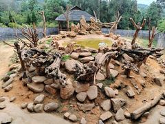 -云南野生动物园