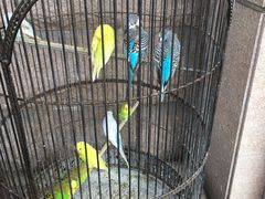 -老味道民宿(栈桥店)