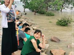 -宝安西湾红树林湿地公园