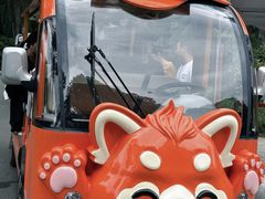 -合肥野生动物园