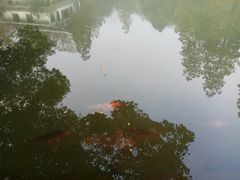 -杭州花家山庄