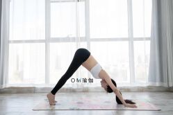 -OM瑜伽教练培训学院