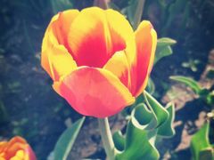 -长春公园(普阳街道)