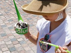 -Salud撒露欧洲冻酸奶(蓝色港湾店)