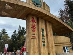 -五营国家森林公园