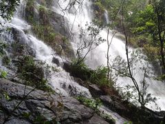 -海南热带雨林国家公园吊罗山景区