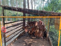 -合肥滨湖国家森林公园