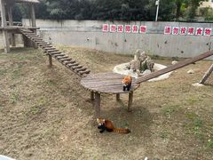 -石家庄市动物园