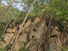 -大岭沟猕猴桃谷风景区