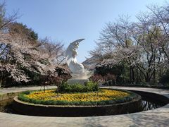 -杭州少年儿童公园