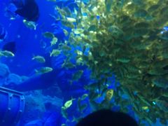 -波塞冬旅游度假区