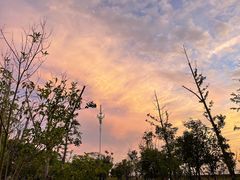 -苏州东太湖生态园