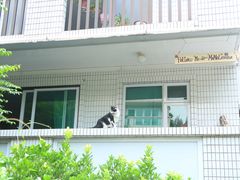 -南丫岛