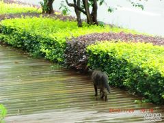 照片-西昌邛海宾馆