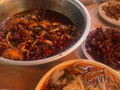 -食神又名厕所兔