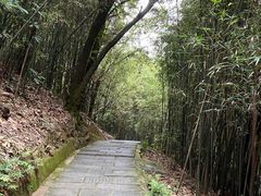 -大屏嶂森林公园