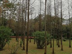 -晓港公园