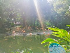 -东部华侨城