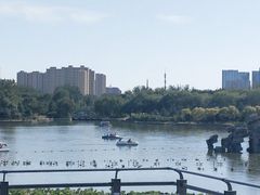 -大兴滨河森林公园