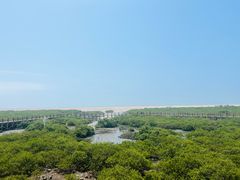 -北海金海湾红树林生态旅游区