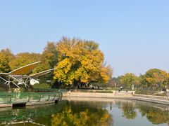-石家庄市植物园