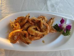 -云中小雅