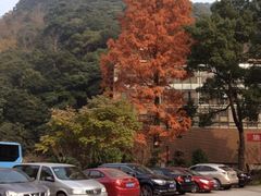 iphone_upload_pic-天明山温泉大酒店