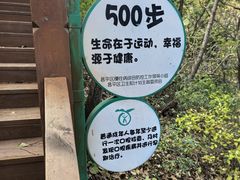 -大岭沟猕猴桃谷风景区