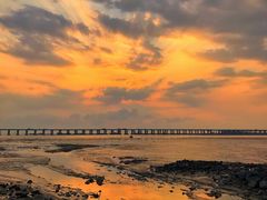 -宝安西湾红树林湿地公园