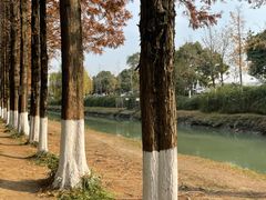 -升仙湖公园