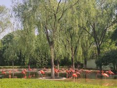 -石家庄市动物园