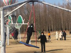 -黄海国家森林公园