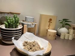 -安吉拉青春化管理中心