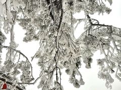-洛阳白云山景区