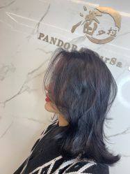 -潘多拉Hairsalon