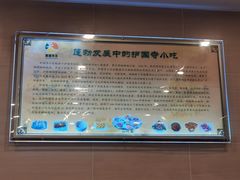 -护国寺小吃(机场店)