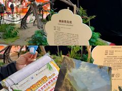 -鹏欣水游城