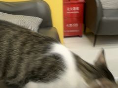 -谜盒子奇幻密室(南屏店)