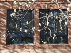 -北京市海淀外国语实验学校