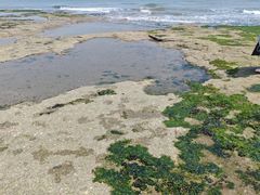 -日照灯塔风景区