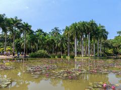 -中国科学院西双版纳热带植物园