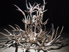 -现代汽车文化中心 Hyundai Motorstudio Beijing