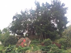 -乌山风景区