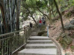 -火炉山森林公园